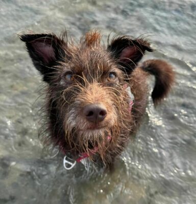 Waarom kiezen voor ons?