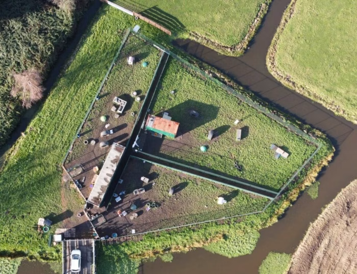 Hondendagopvang Bij Arie