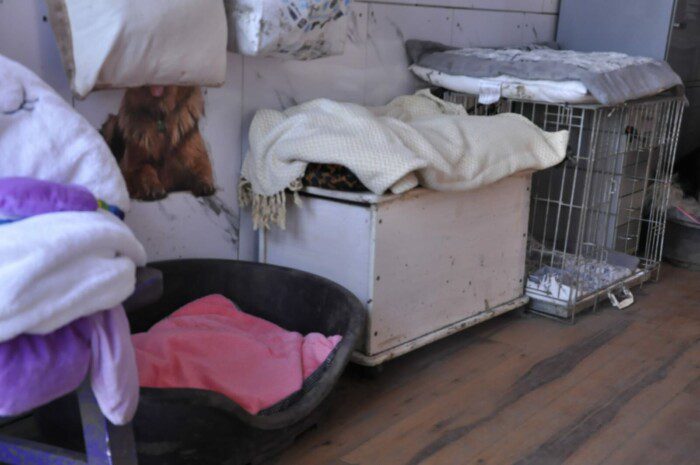 Hondendagopvang Bij Arie